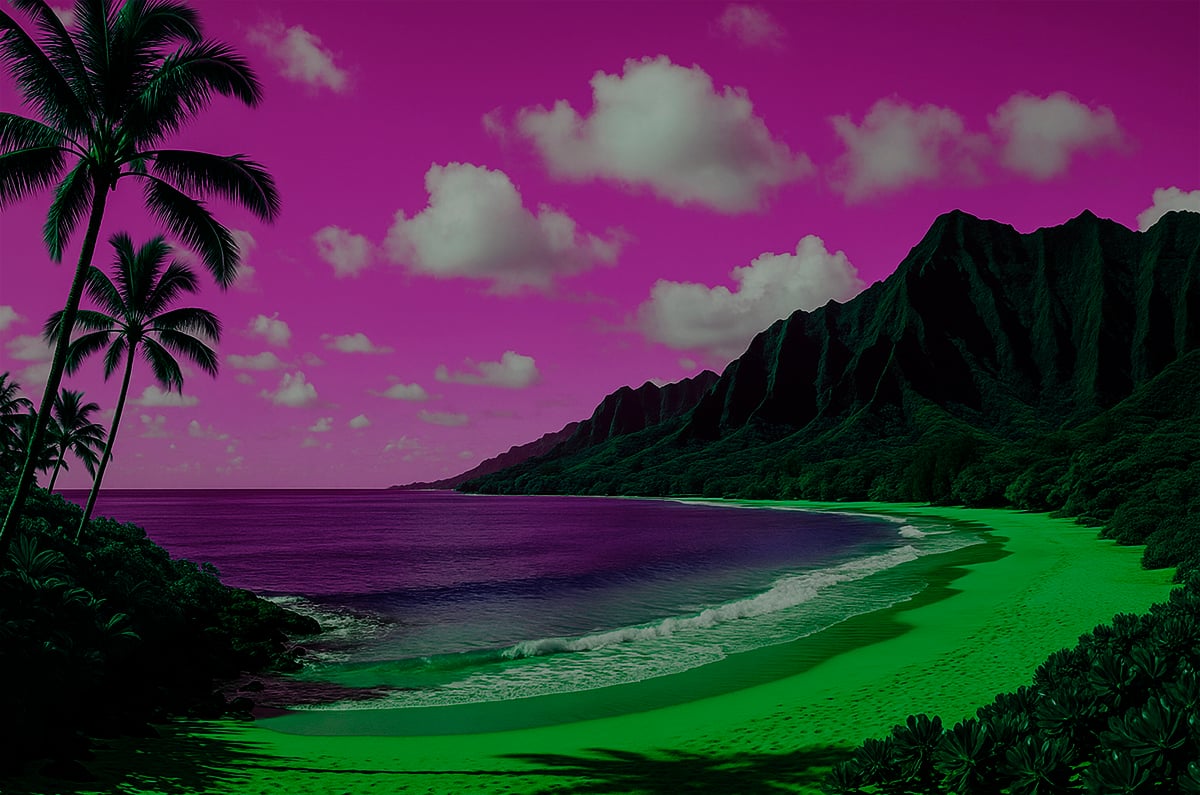 Hawaii Hero
